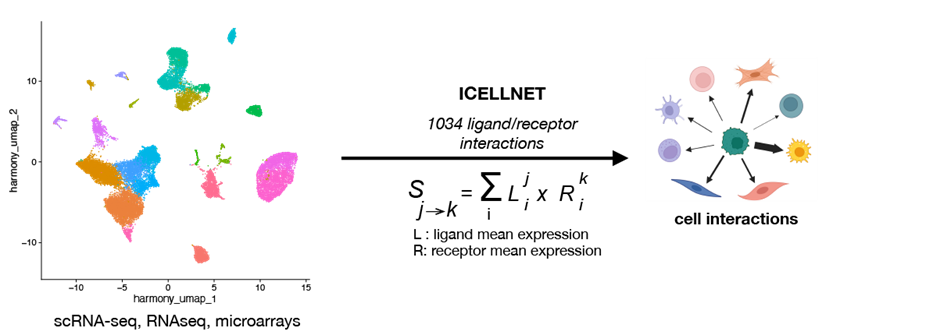 iCELLNET a transcriptome-based framework to dissect intercellular communication